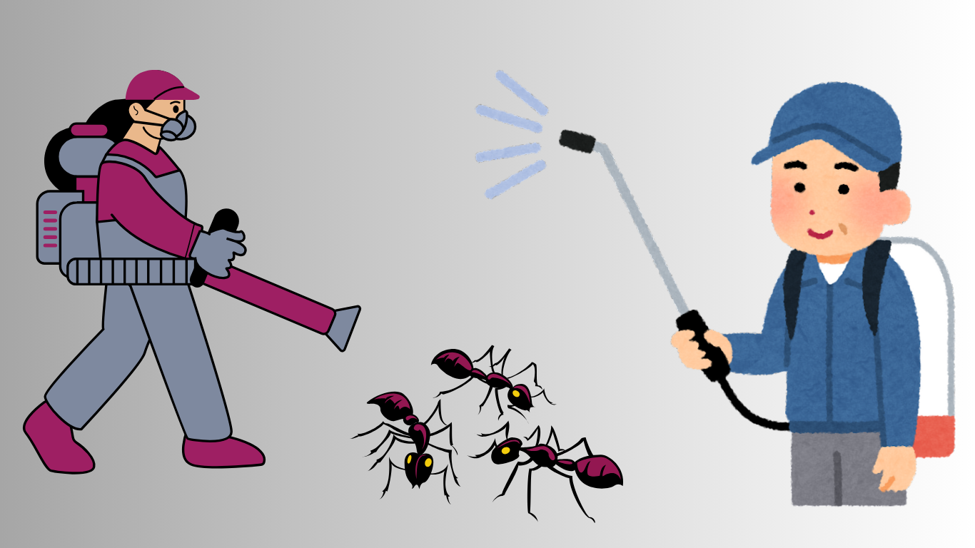 Pest Control Services